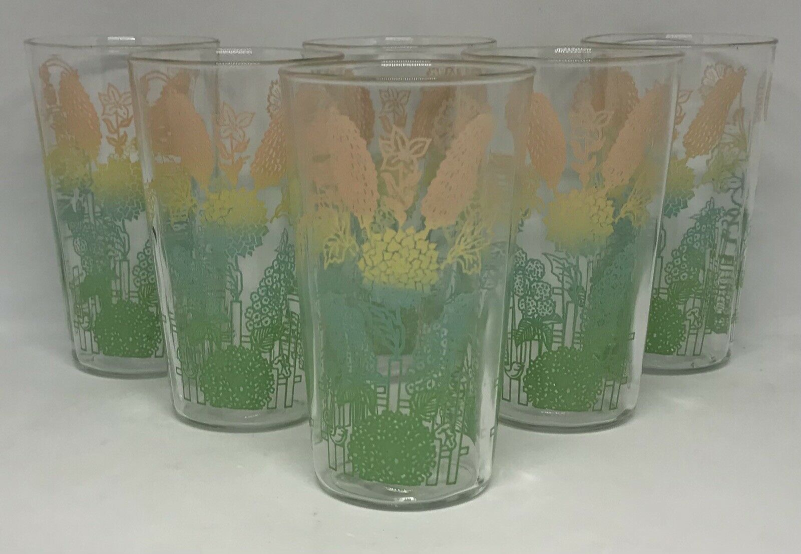 Vintage Set Of 6 Swanky Swig Juice Glasses Flowers Multi-colored Garden 🌹